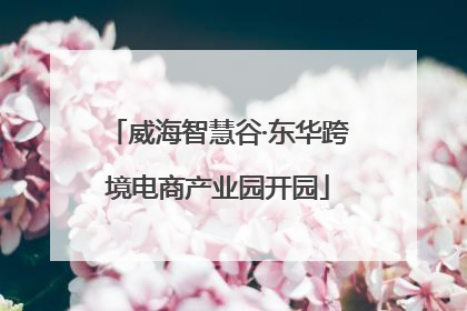 威海智慧谷·东华跨境电商产业园开园
