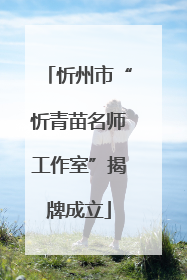 忻州市“忻青苗名师工作室”揭牌成立