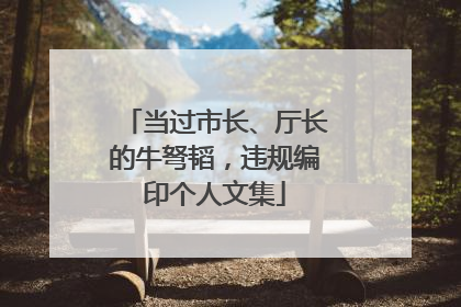 当过市长、厅长的牛弩韬，违规编印个人文集