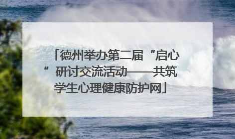 德州举办第二届“启心”研讨交流活动——共筑学生心理健康防护网