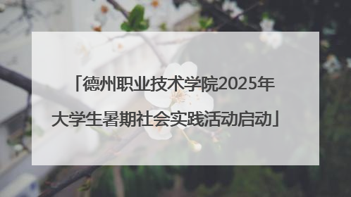 德州职业技术学院2025年大学生暑期社会实践活动启动
