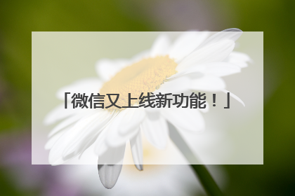 微信又上线新功能！