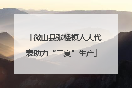 微山县张楼镇人大代表助力“三夏”生产