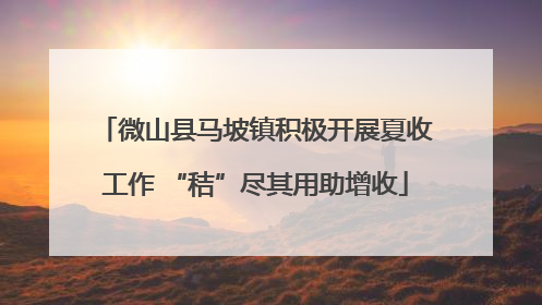微山县马坡镇积极开展夏收工作 “秸”尽其用助增收