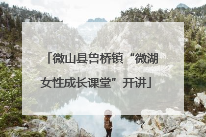 微山县鲁桥镇“微湖女性成长课堂”开讲