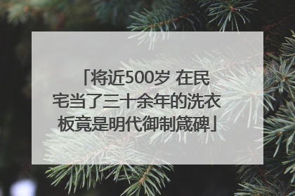 将近500岁 在民宅当了三十余年的洗衣板竟是明代御制箴碑