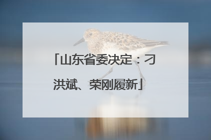 山东省委决定：刁洪斌、荣刚履新