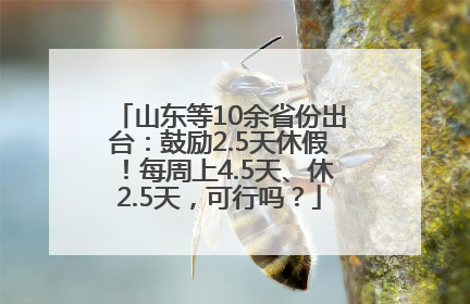 山东等10余省份出台：鼓励2.5天休假！每周上4.5天、休2.5天，可行吗？