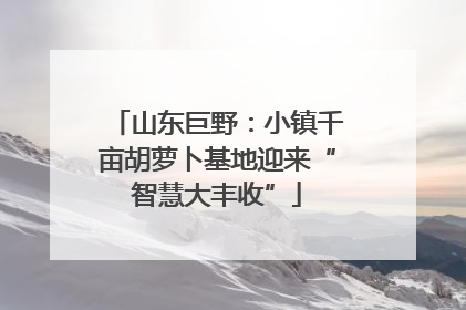 山东巨野：小镇千亩胡萝卜基地迎来“智慧大丰收”