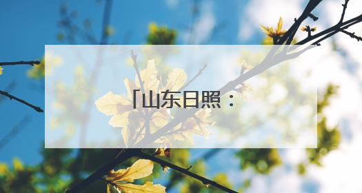 山东日照：木材进港忙