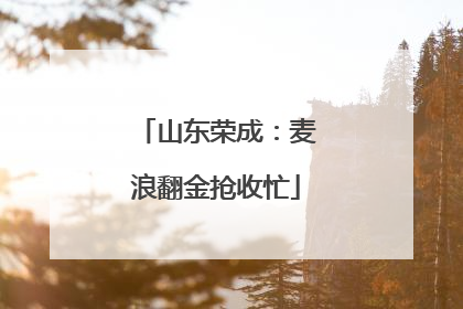 山东荣成：麦浪翻金抢收忙