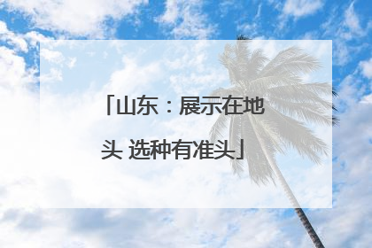 山东：展示在地头 选种有准头