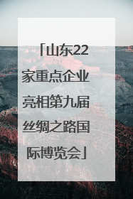 山东22家重点企业亮相第九届丝绸之路国际博览会