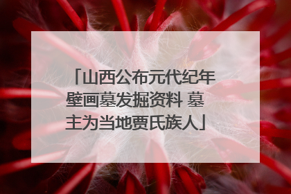 山西公布元代纪年壁画墓发掘资料 墓主为当地贾氏族人
