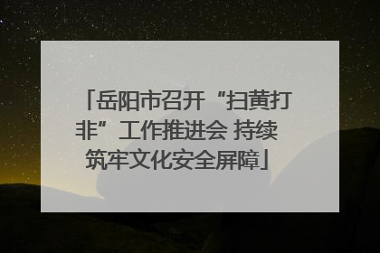岳阳市召开“扫黄打非”工作推进会 持续筑牢文化安全屏障