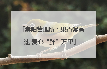 崇阳管理所：果香漫高速 爱心“鲜”万里