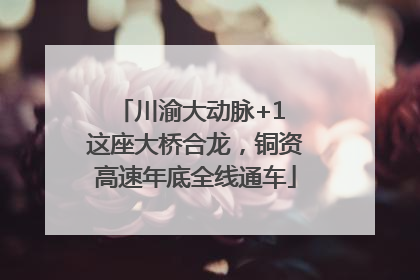 川渝大动脉+1 这座大桥合龙，铜资高速年底全线通车