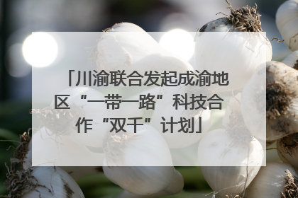 川渝联合发起成渝地区“一带一路”科技合作“双千”计划