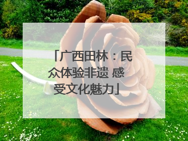广西田林：民众体验非遗 感受文化魅力
