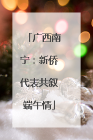 广西南宁：新侨代表共叙端午情