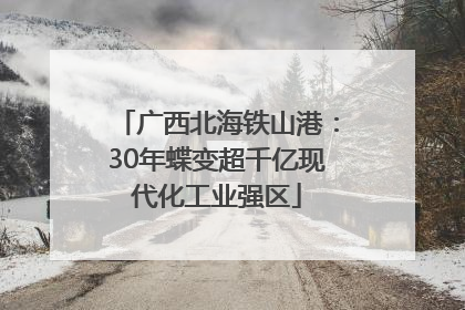 广西北海铁山港：30年蝶变超千亿现代化工业强区