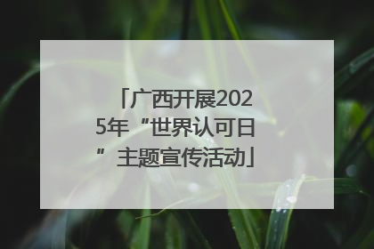 广西开展2025年“世界认可日”主题宣传活动