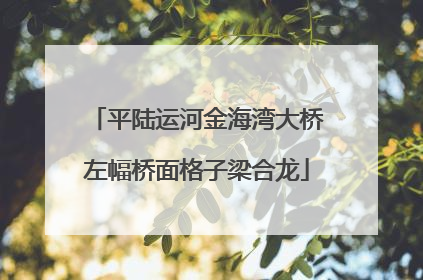 平陆运河金海湾大桥左幅桥面格子梁合龙