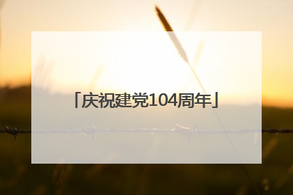 庆祝建党104周年