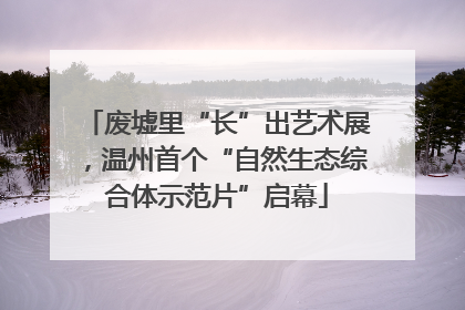 废墟里“长”出艺术展，温州首个“自然生态综合体示范片”启幕