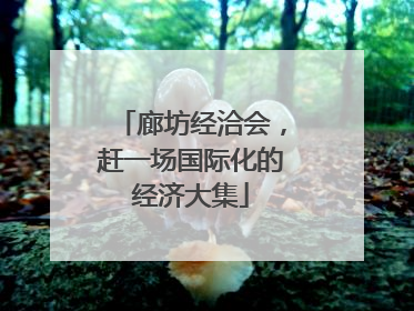 廊坊经洽会，赶一场国际化的经济大集