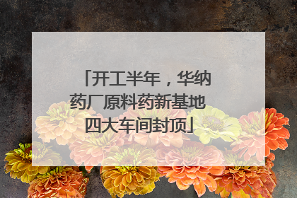 开工半年，华纳药厂原料药新基地四大车间封顶