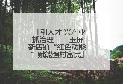 引人才 兴产业 抓治理——玉屏新店镇“红色动能”赋能强村富民