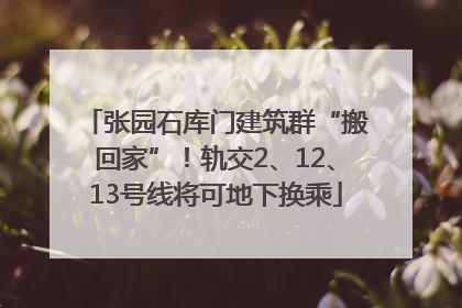 张园石库门建筑群“搬回家”！轨交2、12、13号线将可地下换乘
