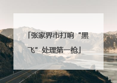 张家界市打响“黑飞”处理第一枪