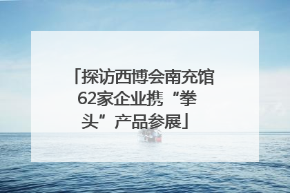 探访西博会南充馆 62家企业携“拳头”产品参展