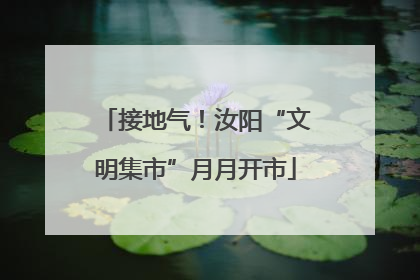 接地气！汝阳“文明集市”月月开市