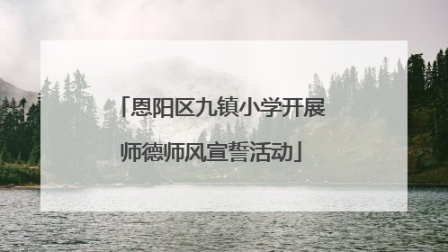 恩阳区九镇小学开展师德师风宣誓活动