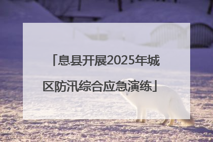 息县开展2025年城区防汛综合应急演练