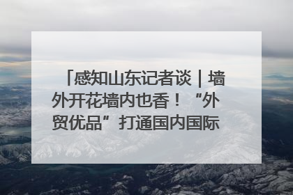 感知山东记者谈｜墙外开花墙内也香！“外贸优品”打通国内国际市场“旋转门”