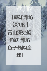 感知潍坊·深1度丨青山深处鲟鱼跃 潍坊鱼子酱闯全球