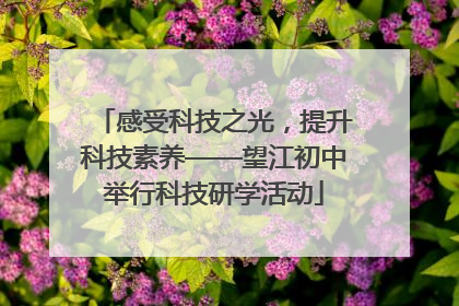 感受科技之光，提升科技素养——望江初中举行科技研学活动