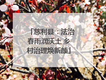 慈利县：法治春雨润沃土 乡村治理焕新颜