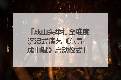 成山头举行全维度沉浸式演艺《东寻·成山赋》启动仪式