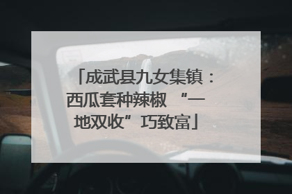 成武县九女集镇：西瓜套种辣椒 “一地双收”巧致富