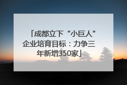 成都立下“小巨人”企业培育目标：力争三年新增350家