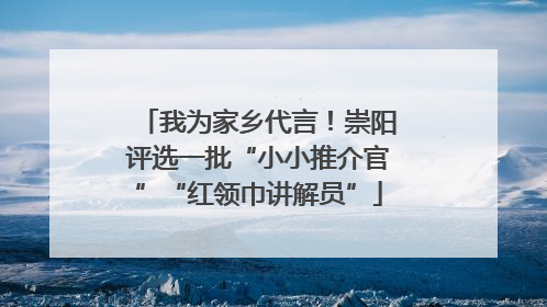 我为家乡代言！崇阳评选一批“小小推介官”“红领巾讲解员”