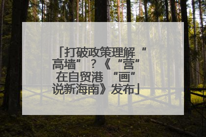 打破政策理解“高墙”？《“营”在自贸港 “画”说新海南》发布
