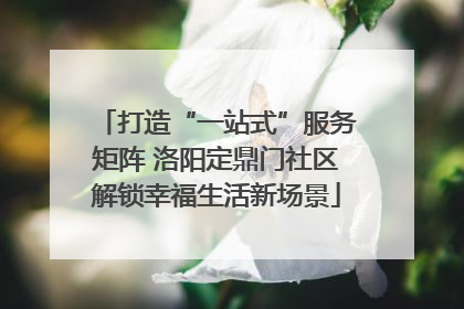 打造“一站式”服务矩阵 洛阳定鼎门社区解锁幸福生活新场景