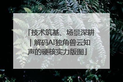 技术筑基、场景深耕｜解码AI独角兽云知声的硬核实力版图