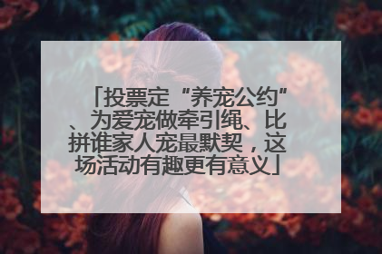 投票定“养宠公约”、为爱宠做牵引绳、比拼谁家人宠最默契，这场活动有趣更有意义